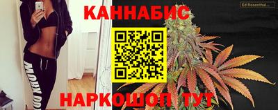 Альфа ПВП Будённовск