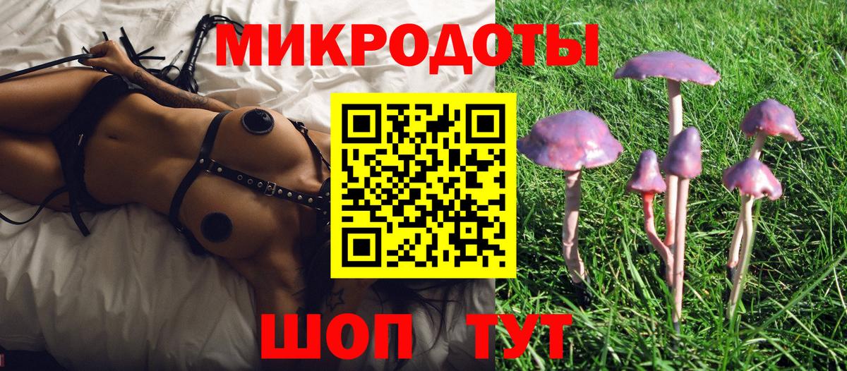 Галлюциногенные грибы Cubensis Сызрань