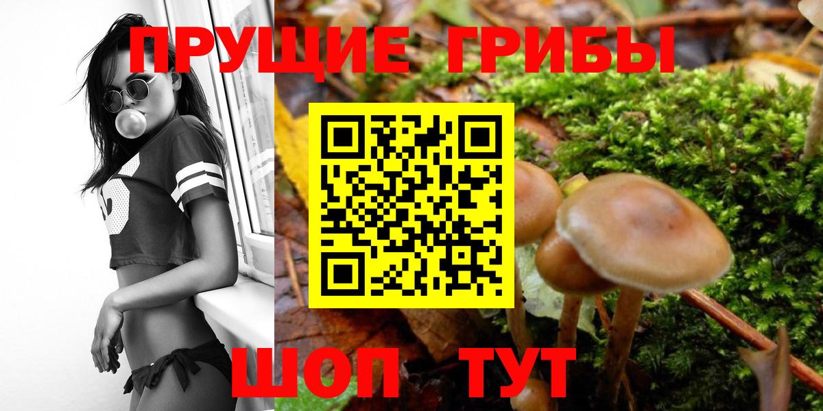 Галлюциногенные грибы прущие грибы  Вход с VPN  Сызрань 
